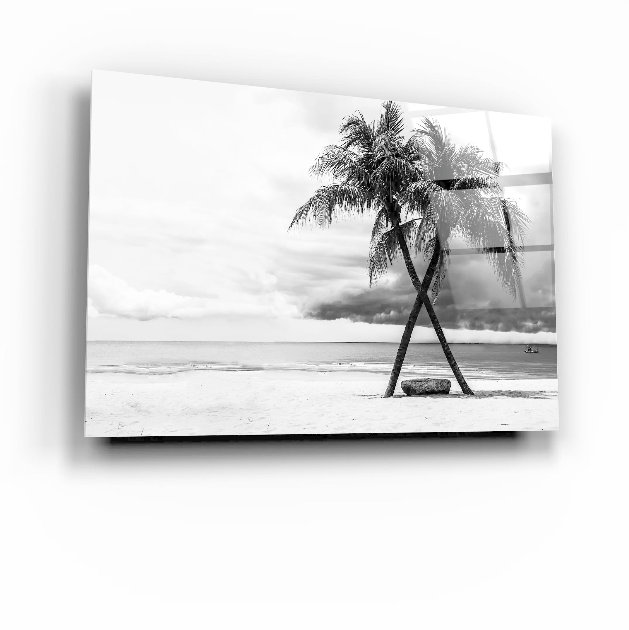 Coconut Tree Black White | Glass Wall Art