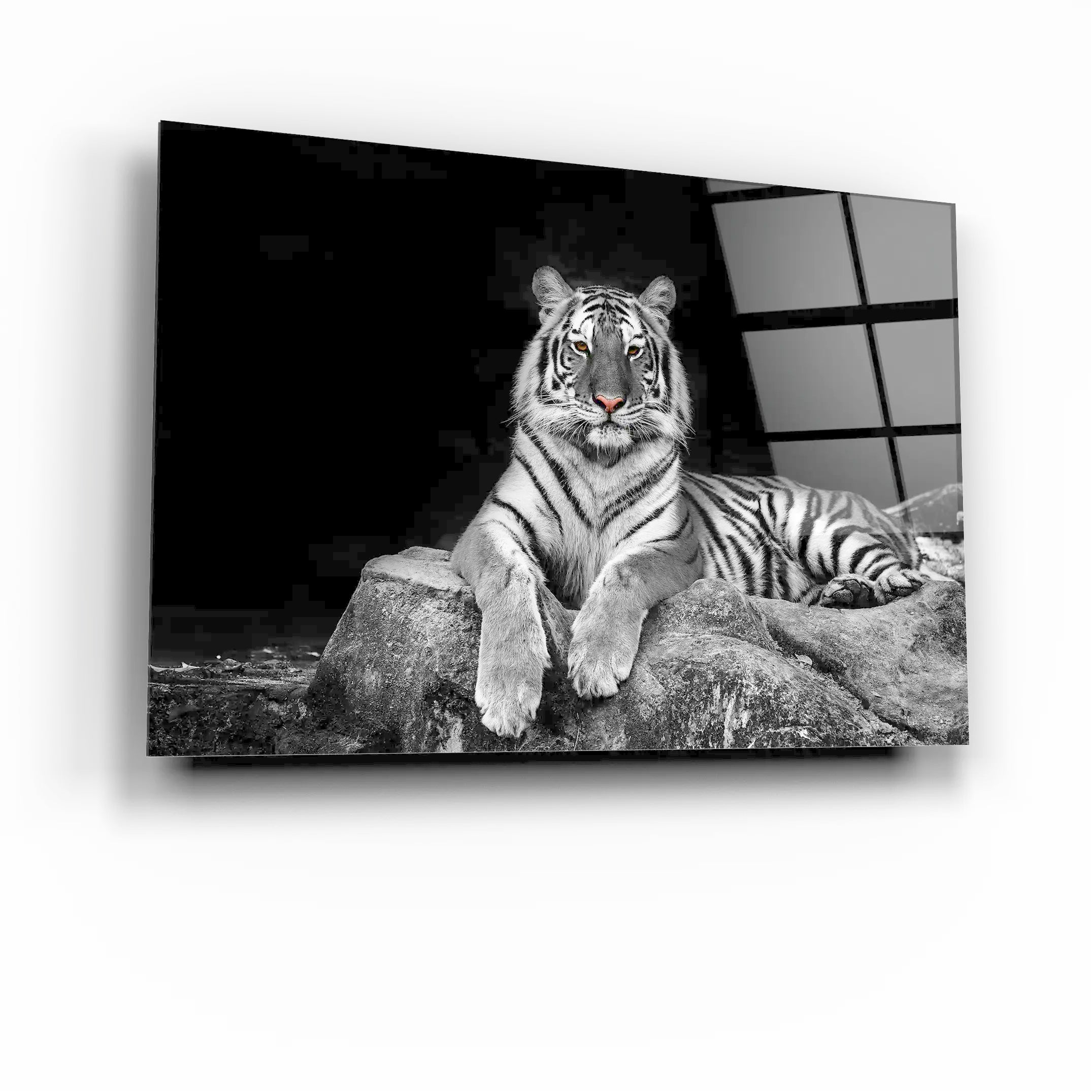 White tiger Glass Printing Wall Art